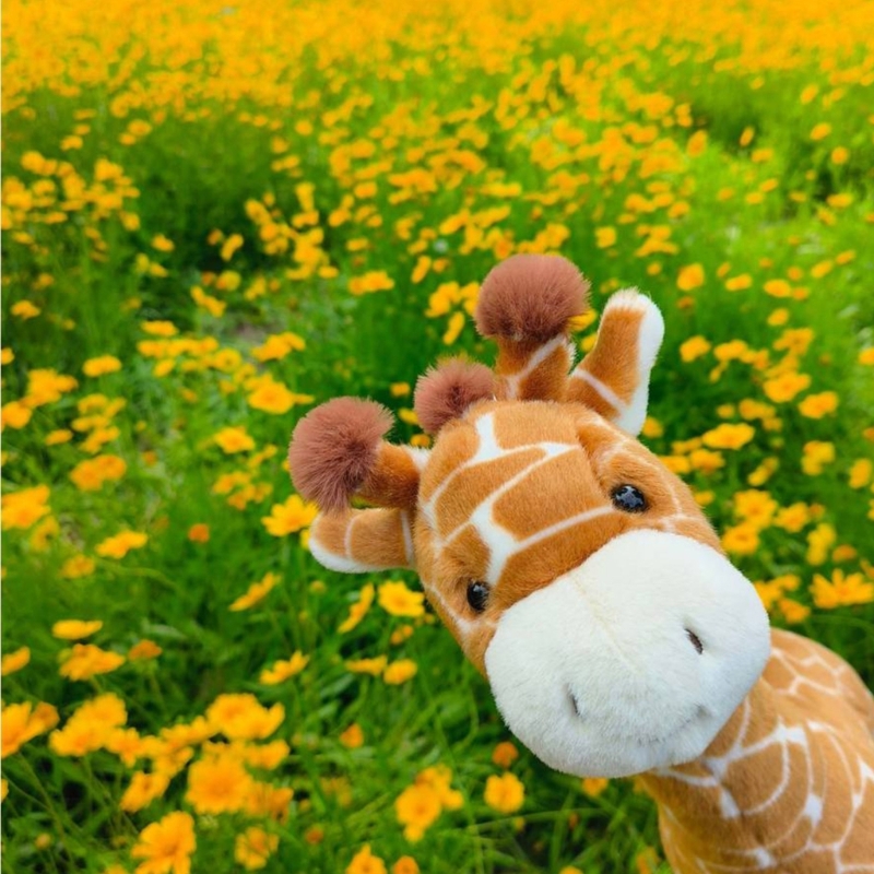 Đồ chơi nhồi bông hình hươu ca - đánh giá và giá Kids Toys Very