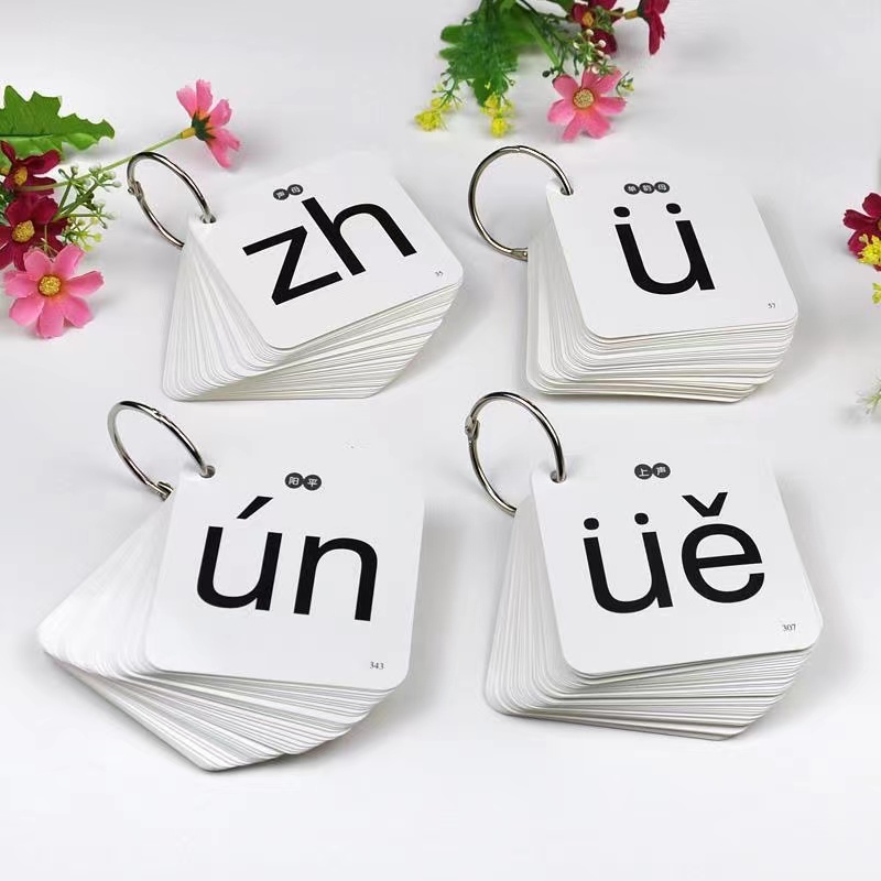 252Pcs/set Learning Chinese Pi - đánh giá và giá Kids Toys Now